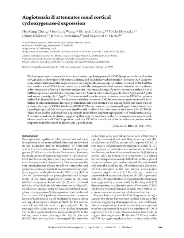 (PDF) Angiotensin II attenuates renal cortical cyclooxygenase-2 expression