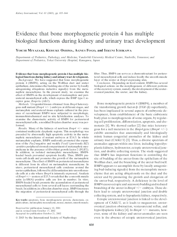 (PDF) Evidence that bone morphogenetic protein 4 has multiple ...