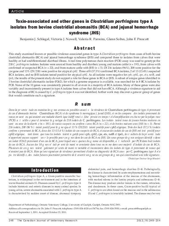 Clostridium perfringens essay image