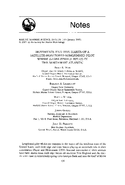 Pilot whale lifespan image