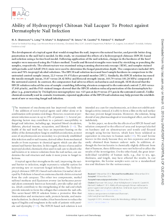 (PDF) Ability of Hydroxypropyl Chitosan (HPCH) Nail Solution to Protect ...