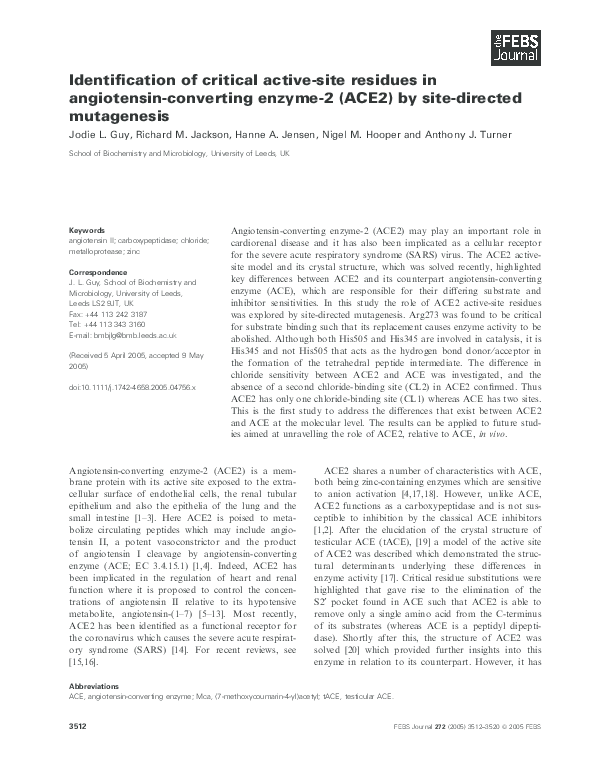 (PDF) Identification of critical active-site residues in angiotensin ...