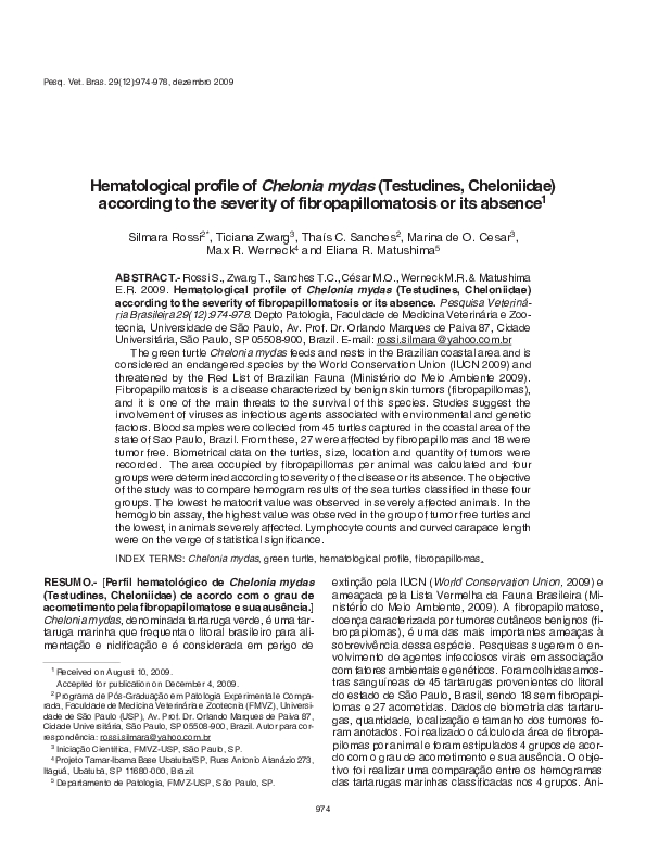 Sea turtles habitat image