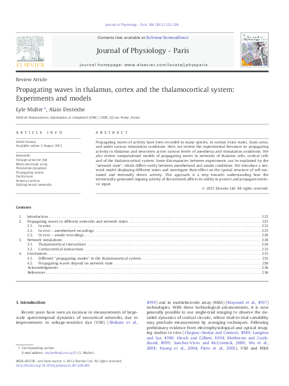 (PDF) Propagating waves in thalamus, cortex and the thalamocortical ...