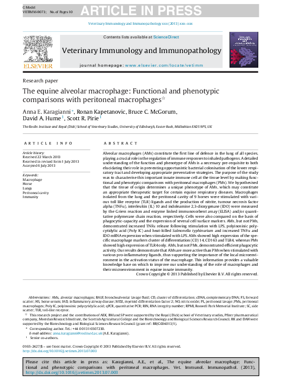 (PDF) The equine alveolar macrophage: Functional and phenotypic ...