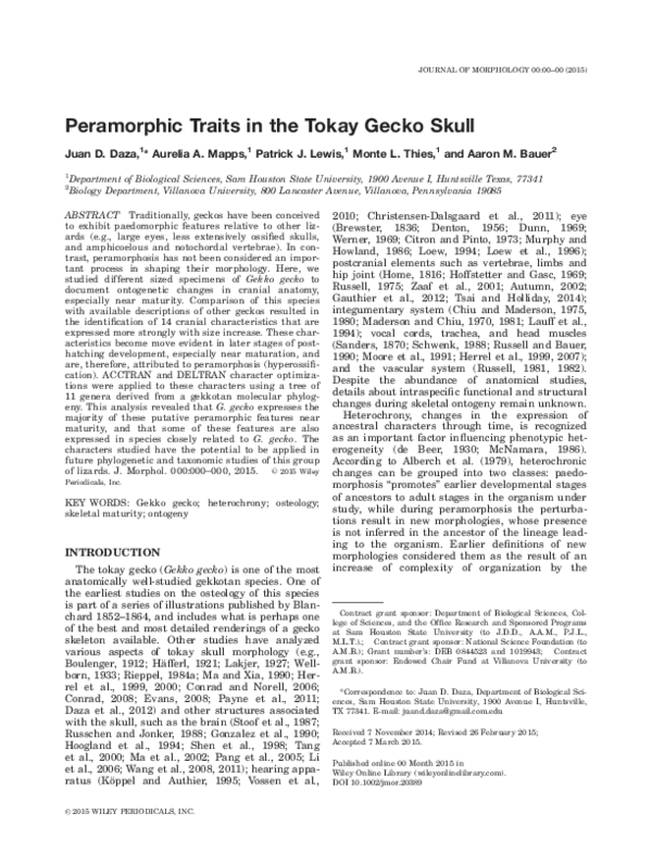 (PDF) Peramorphic traits in the tokay gecko skull