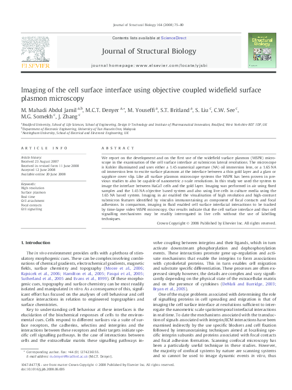(PDF) Imaging of the cell surface interface using objective coupled ...