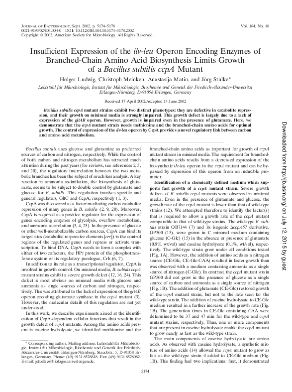 (PDF) Insufficient Expression of the ilv-leu Operon Encoding Enzymes of ...
