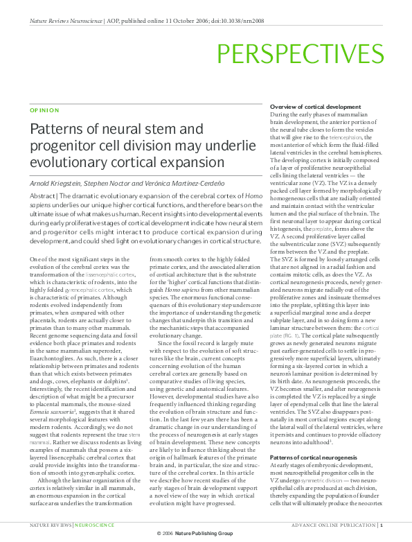 (PDF) Patterns of neural stem and progenitor cell division may underlie ...