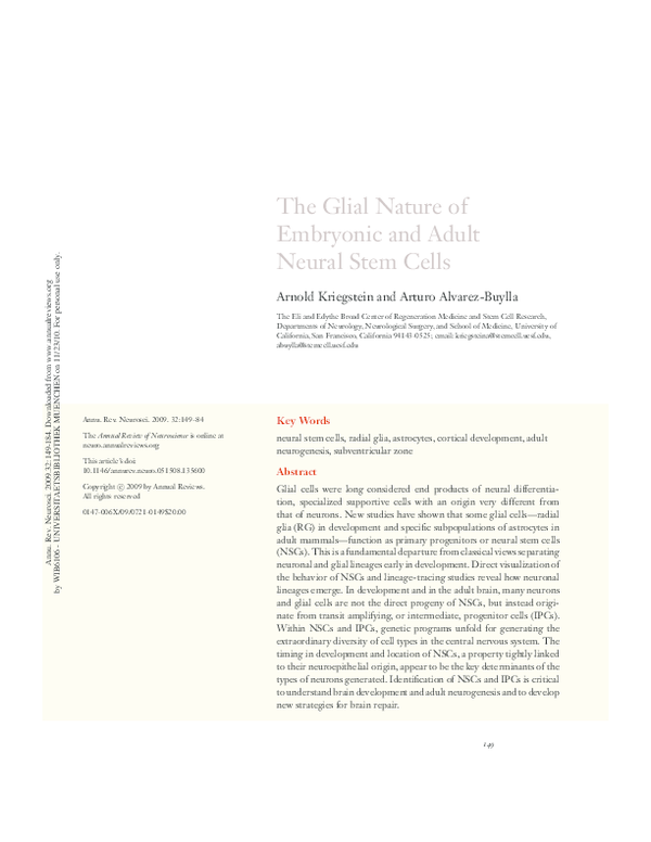 (PDF) The Glial Nature of Embryonic and Adult Neural Stem Cells