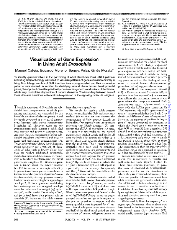 (PDF) Visualization of Gene Expression in Living Adult Drosophila