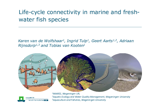 (PDF) Life-cycle connectivity in marine and fresh-water fish species