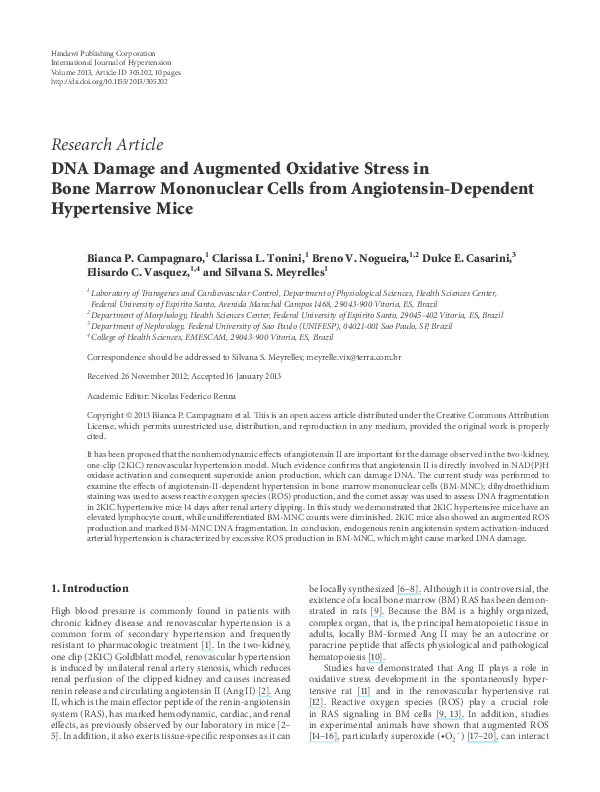 (PDF) DNA Damage and Augmented Oxidative Stress in Bone Marrow ...