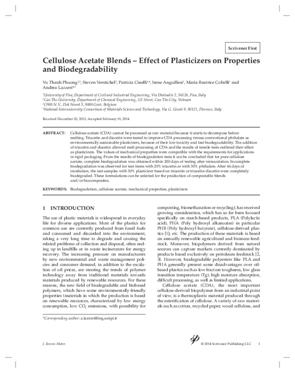 Acetate department essay 02 picture