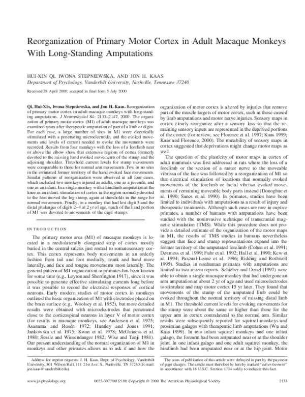 (PDF) Reorganization of Primary Motor Cortex in Adult Macaque Monkeys ...