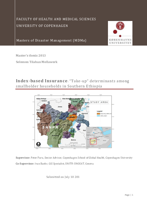 Risk management in insurance sector pdf image