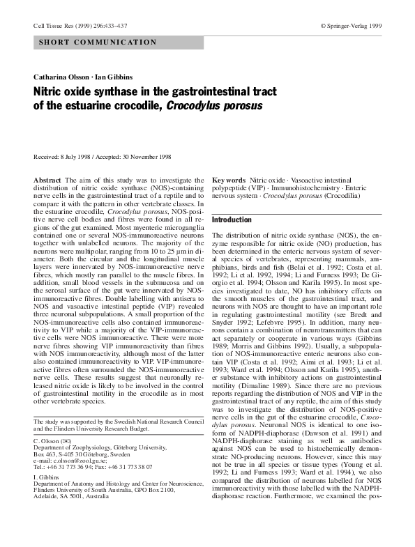 (PDF) Nitric oxide synthase in the gastrointestinal tract of the ...