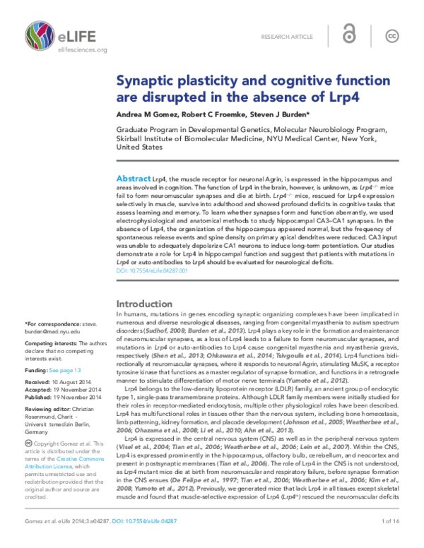 (PDF) Synaptic plasticity and cognitive function are disrupted in the ...