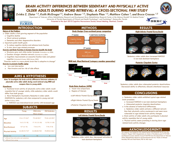 (PDF) BRAIN ACTIVITY DIFFERENCES BETWEEN SEDENTARY AND PHYSICALLY ...