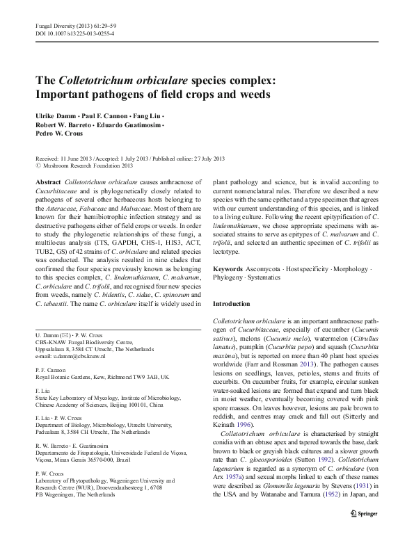Colletotrichum orbiculare on cucumber plants biology essay 07 picture