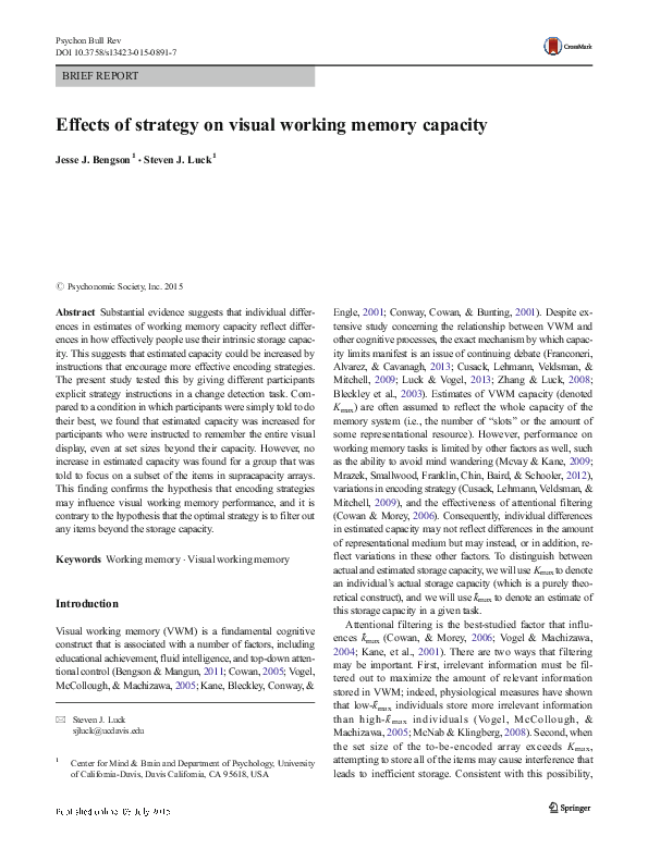 (PDF) Effects of strategy on visual working memory capacity