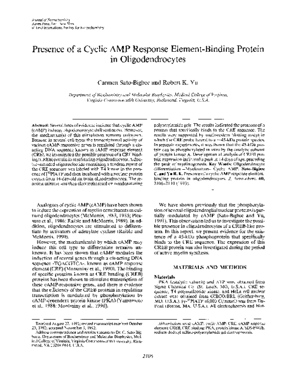 (PDF) Presence of a Cyclic AMP Response Element-Binding Protein in ...