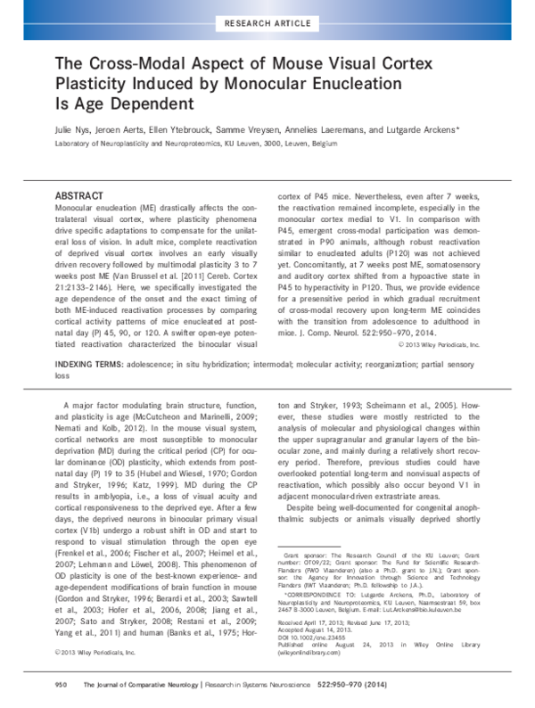 (PDF) The cross-modal aspect of mouse visual cortex plasticity induced ...