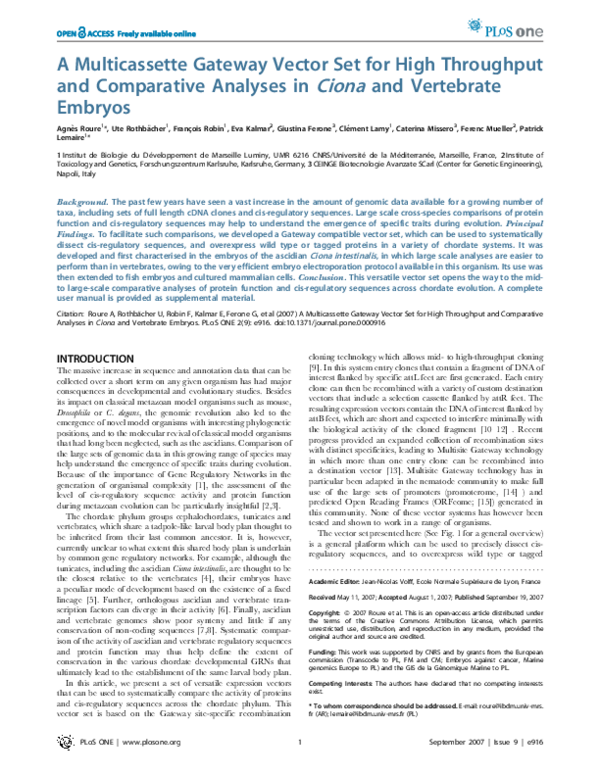 (PDF) A Multicassette Gateway Vector Set for High Throughput and ...