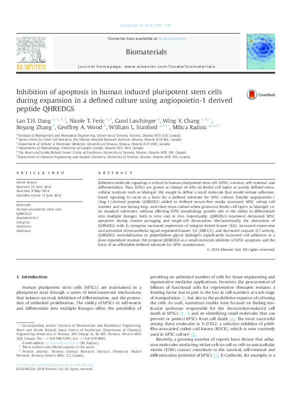 (PDF) Inhibition of apoptosis in human induced pluripotent stem cells ...