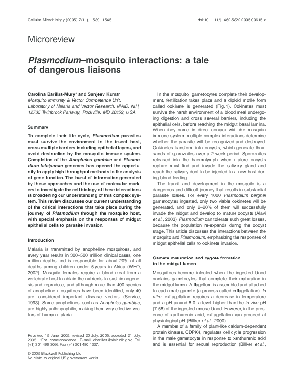 Dangerous liaisons 2012 image