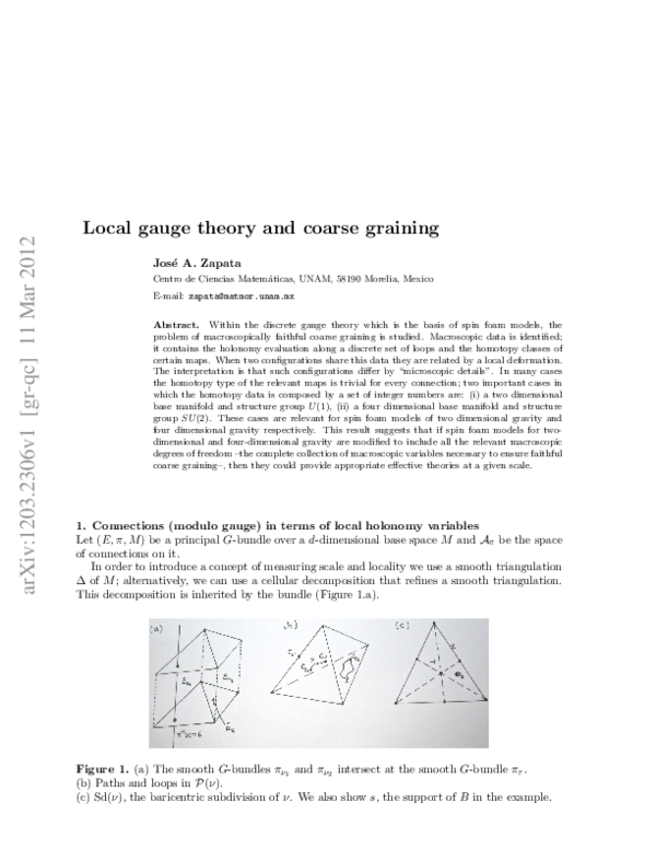 (PDF) Local gauge theory and coarse graining