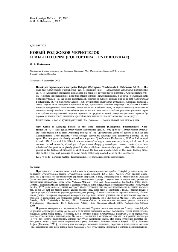 (PDF) New Genus of Darkling Beetles of the Tribe Helopini (Coleoptera ...