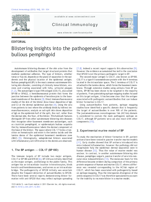 (PDF) Blistering insights into the pathogenesis of bullous pemphigoid
