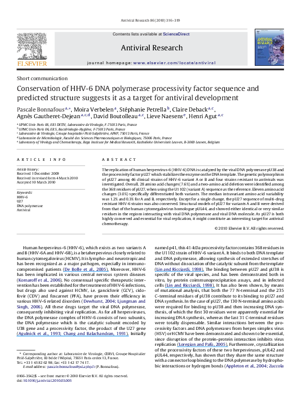 (PDF) Conservation of HHV-6 DNA polymerase processivity factor sequence ...