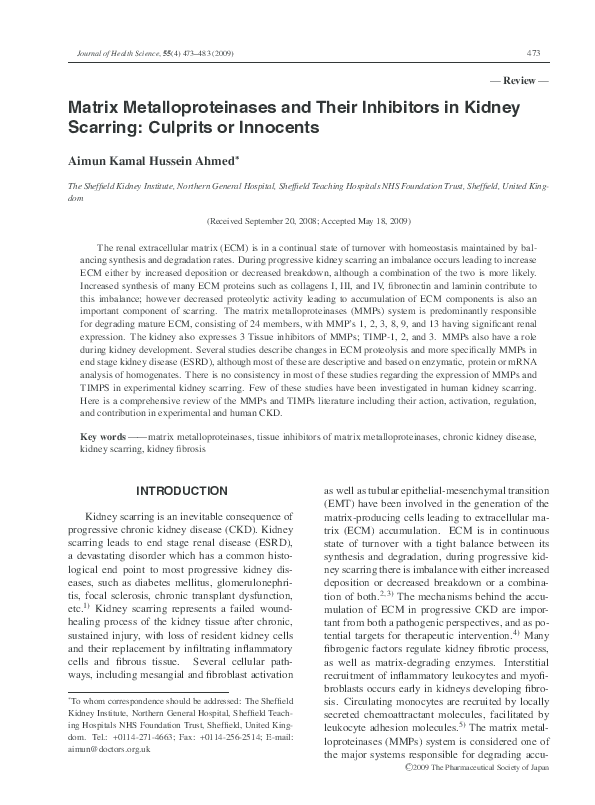 Matrix metalloproteinases definition picture