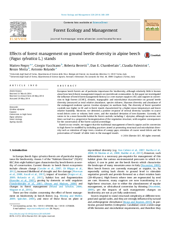 (PDF) Effects of forest management on ground beetle diversity in alpine ...