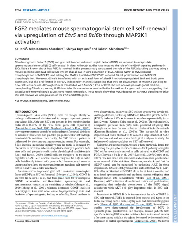 (PDF) FGF2 mediates mouse spermatogonial stem cell self-renewal via ...