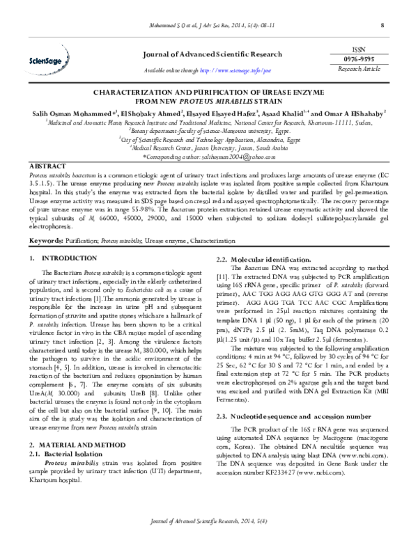 Causes of proteus mirabilis infection picture