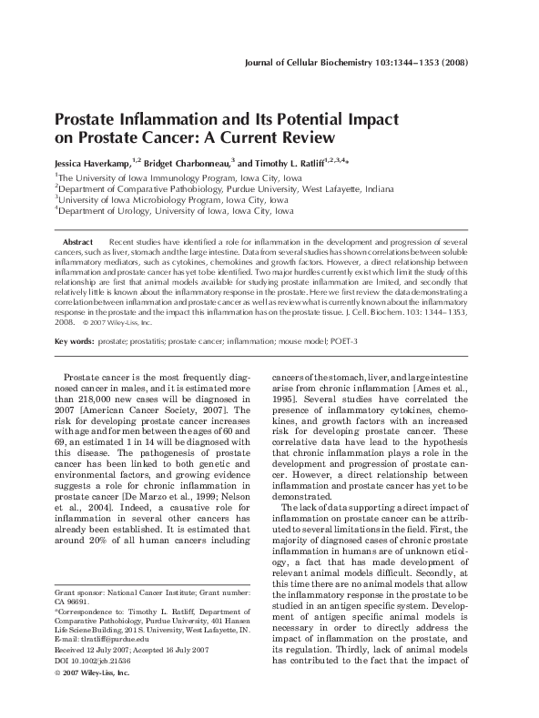 (PDF) Prostate inflammation and its potential impact on prostate cancer ...