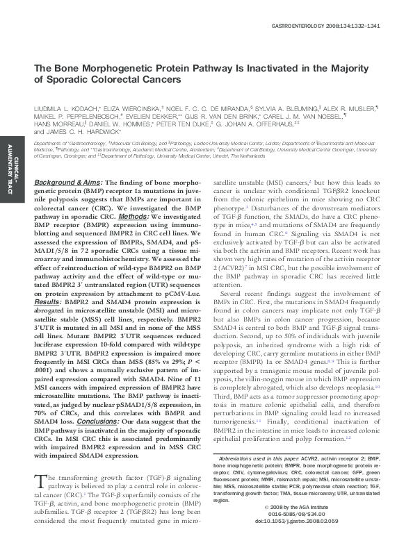 (PDF) The Bone Morphogenetic Protein Pathway Is Inactivated in the ...