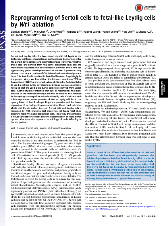 (PDF) Reprogramming of Sertoli cells to fetal-like Leydig cells by Wt1 ...