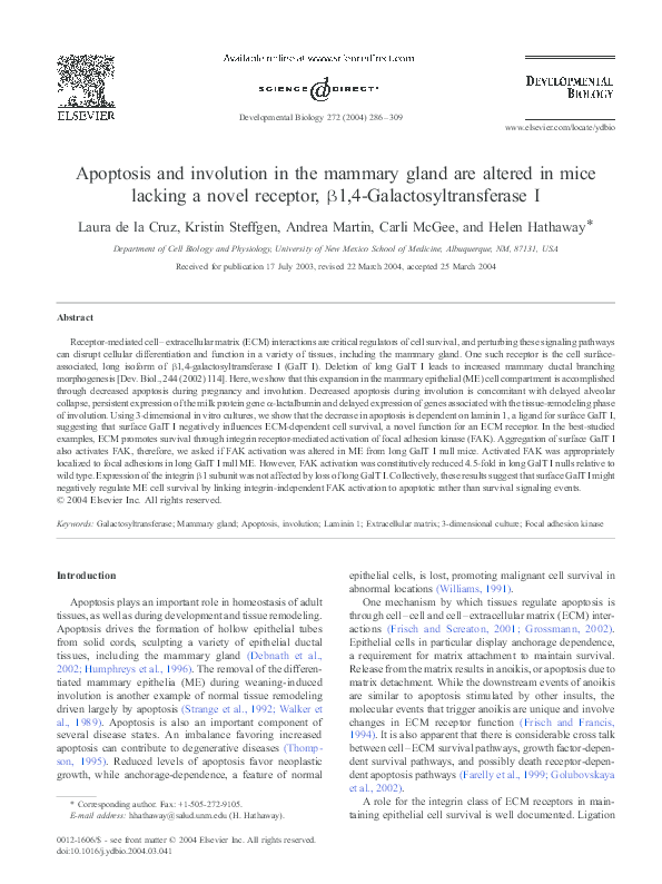 Alveoli of mammary gland function image