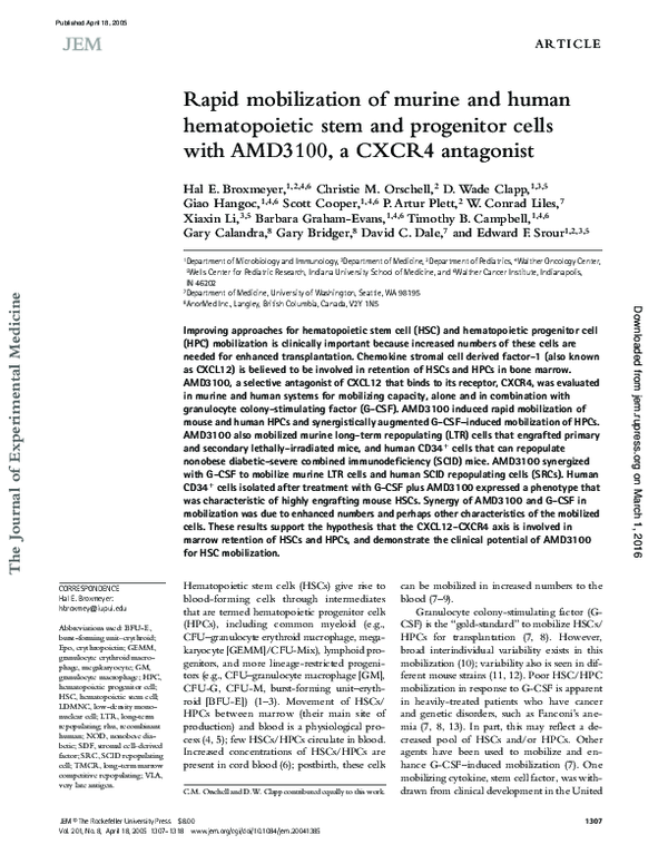 (PDF) Rapid mobilization of murine and human hematopoietic stem and ...
