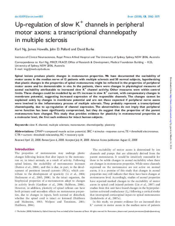(PDF) Up-regulation of slow K+ channels in peripheral motor axons: a ...