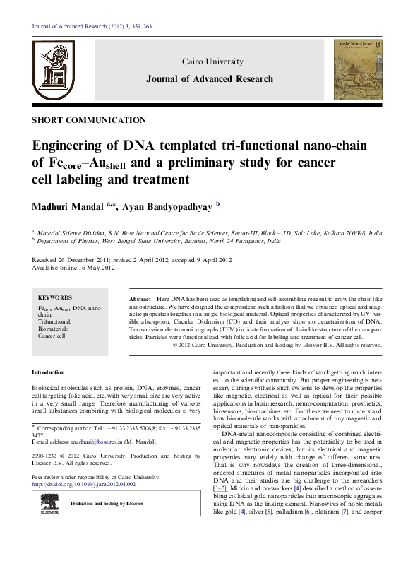 (PDF) Engineering of DNA templated tri-functional nano-chain of Fecore ...
