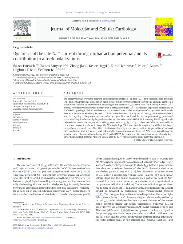 (PDF) Dynamics of the late Na+ current during cardiac action potential ...