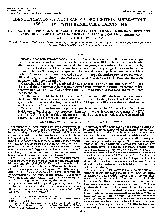 (PDF) IDENTIFICATION OF NUCLEAR MATRIX PROTEIN ALTERATIONS ASSOCIATED ...