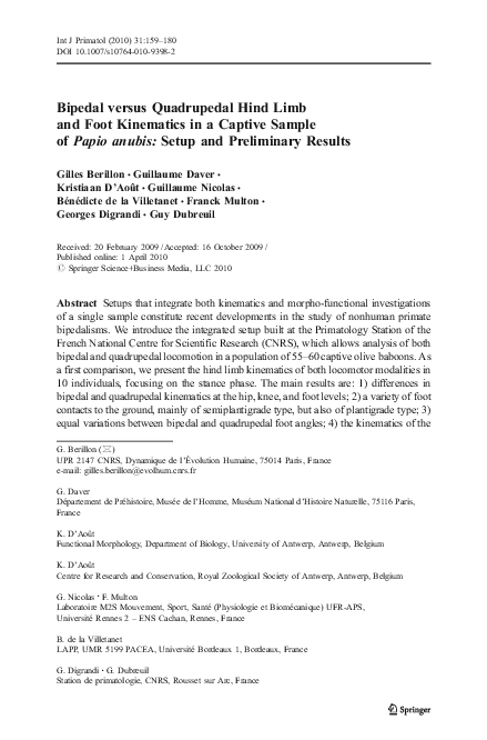 Bipedalism and hunting picture