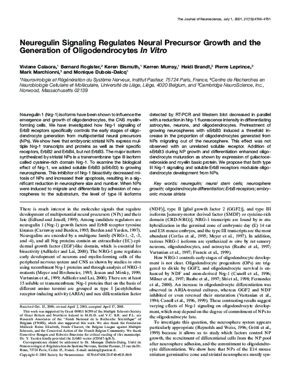 (PDF) Neuregulin Signaling Regulates Neural Precursor Growth and the ...