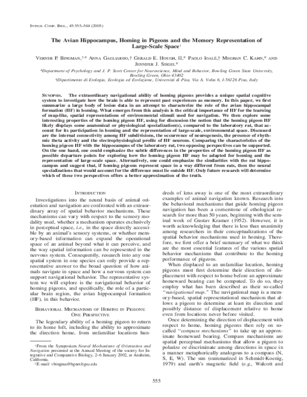 (PDF) The Avian Hippocampus, Homing in Pigeons and the Memory ...